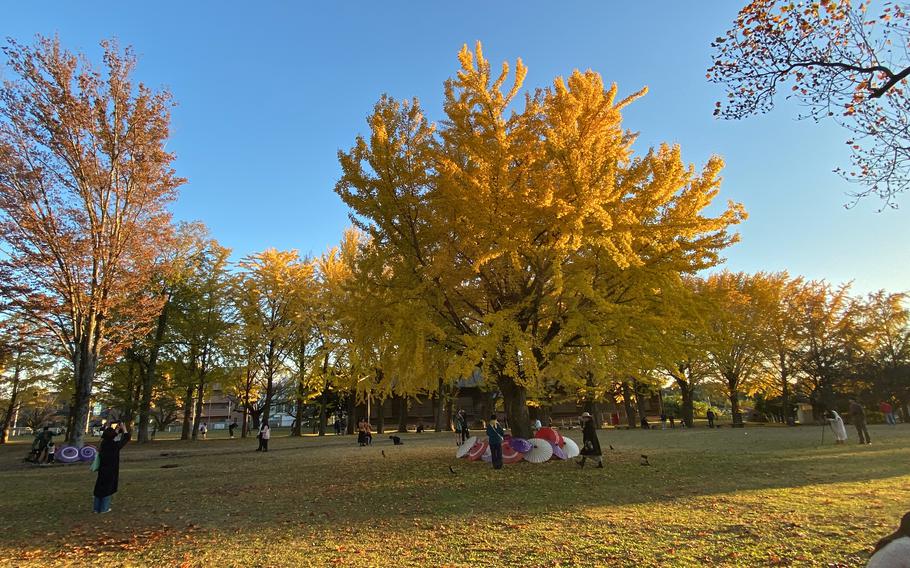 outside of Ibaraki Prefectural Archives and Museum